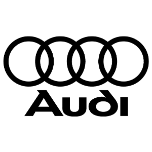  Auto Usate Audi