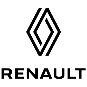  Auto Usate Renault
